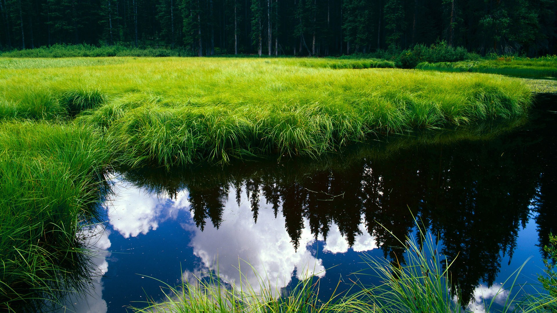 智利制霸几内亚之战，莱万以实力铭刻传奇