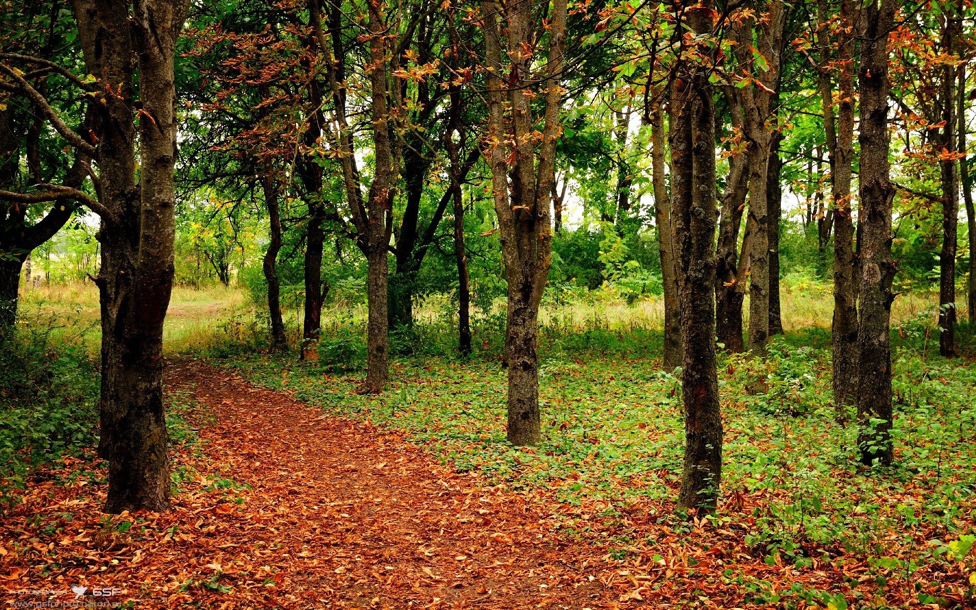 世界排名争夺战之夜,罗德里戈巨星价值的璀璨绽放