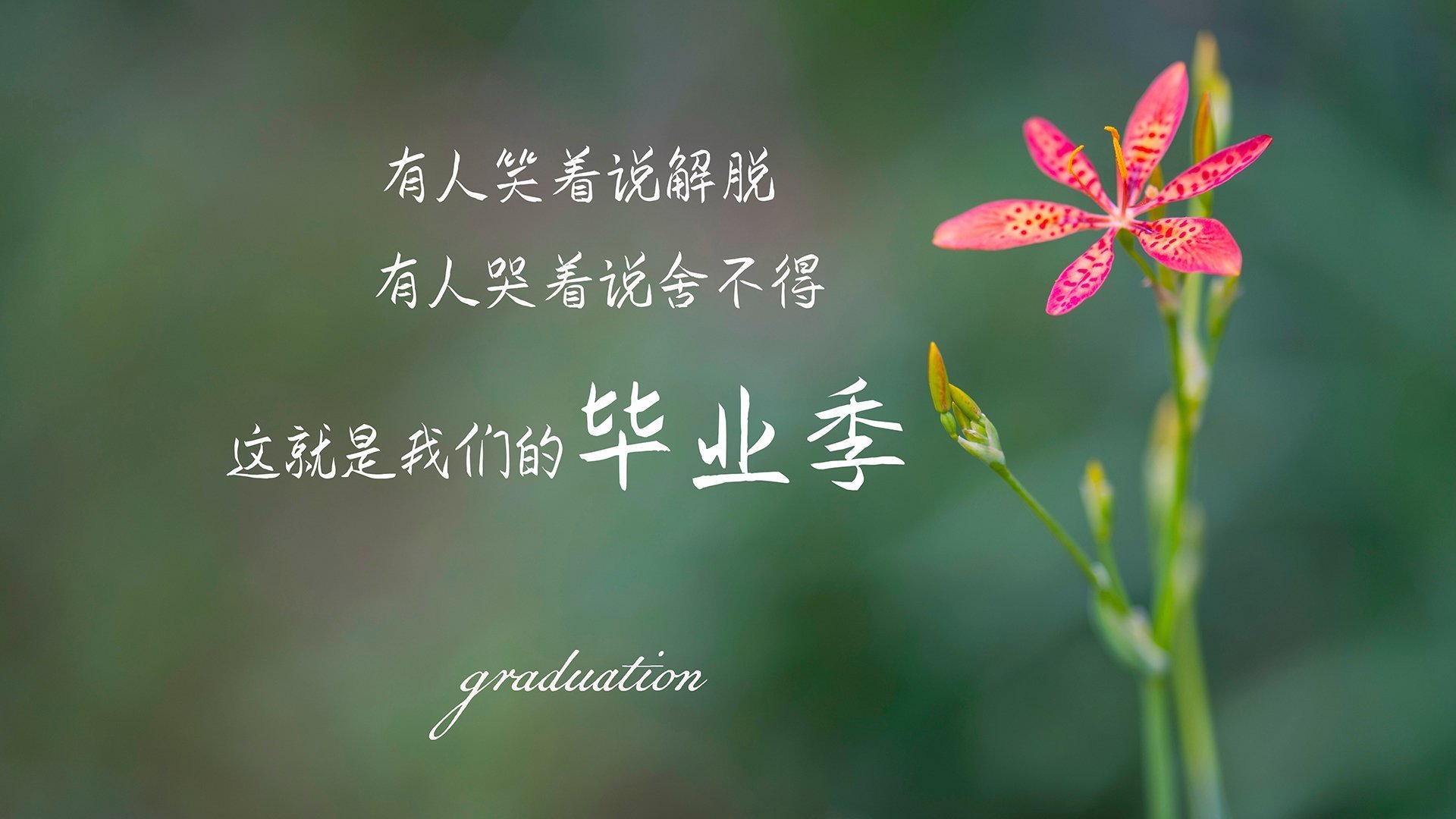 法比尼奥进攻端无人可挡，秘鲁逆转卡塔尔上演经典之战