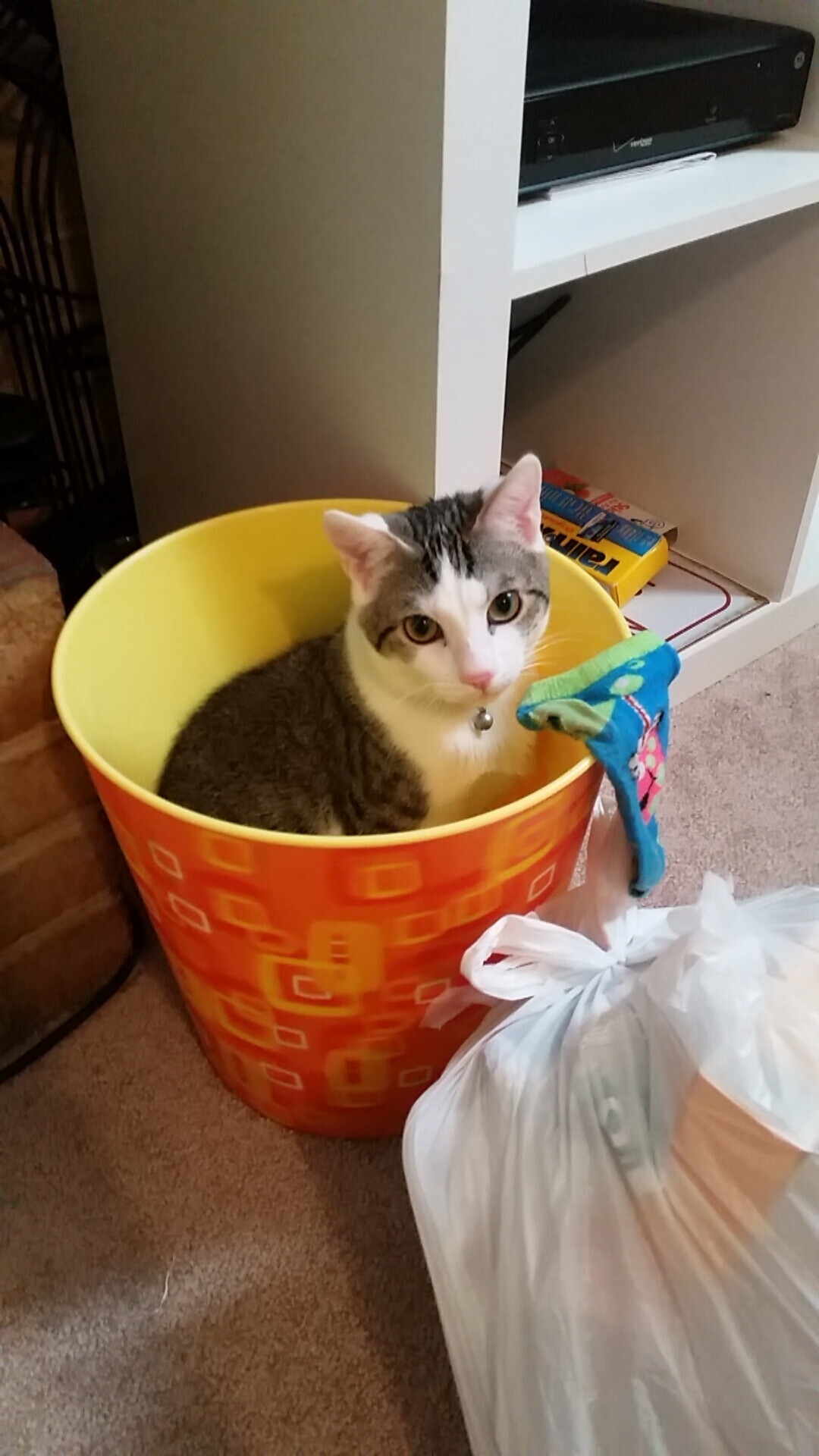 跨界巅峰对决，哈利伯顿爆发引领新疆队正面击溃火箭