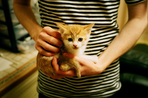 孤星闪耀，暗夜沉船