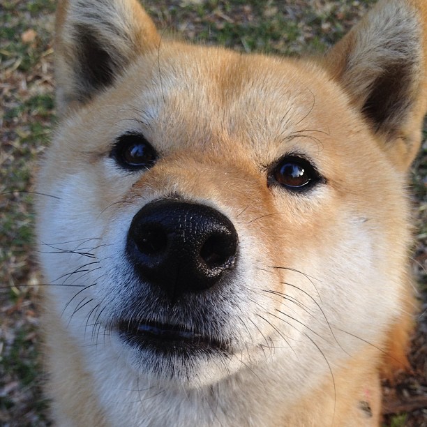 开云体育APP下载-抢七鏖战！巴西末节觉醒逆转哥伦比亚