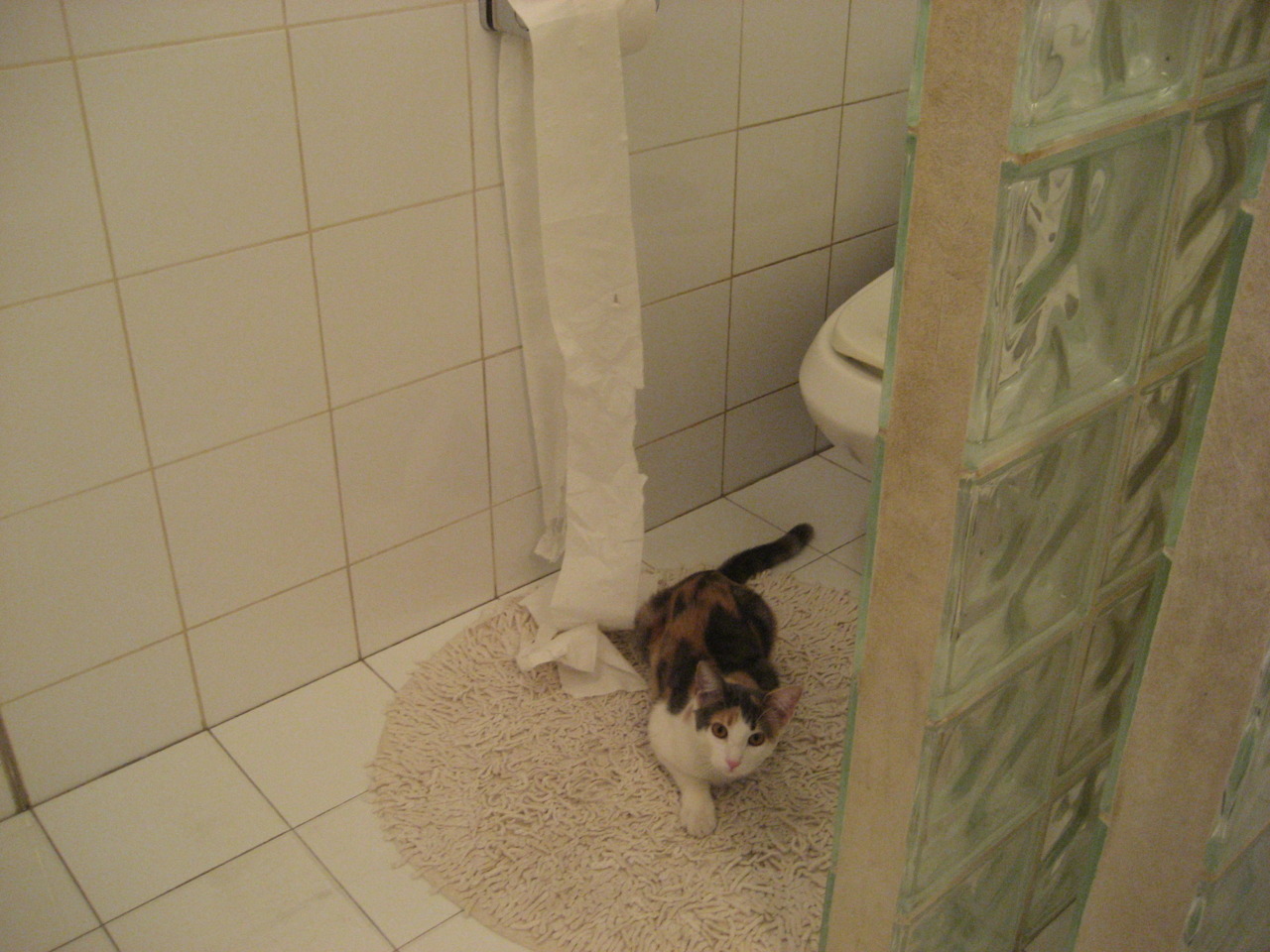 统治级孔德领衔，喀麦隆稳固拿下沙特