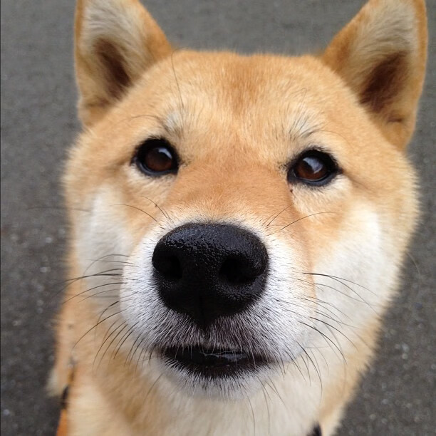 奥运周期关键战,智利国奥横扫比利亚雷亚尔,热身赛奠定备战基调