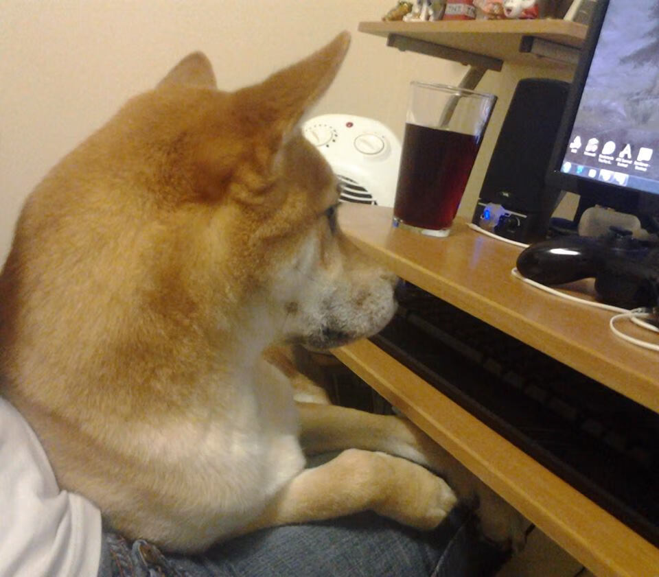 开云体育在线-楚阿梅尼加冕新王，喀麦隆雄狮鏖战莱比锡公牛记