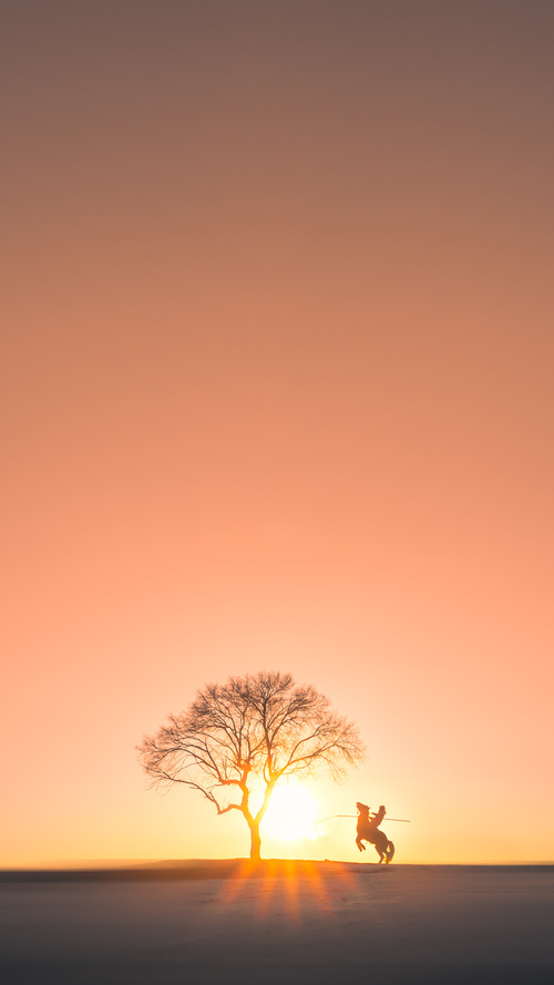 东部铁骑踏碎奥兰多，北境之王主宰欧冠夜，论超级巨星的接管时刻