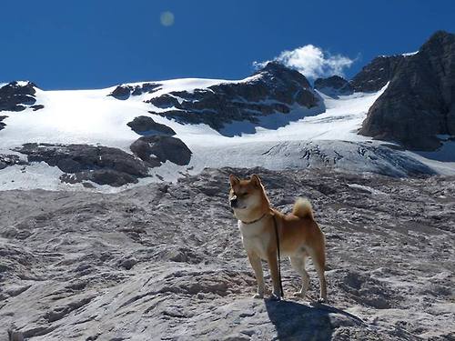 开云体育在线-双核驱动，塞维利亚铁蹄踏过秘鲁，京多安掌舵焦点之战