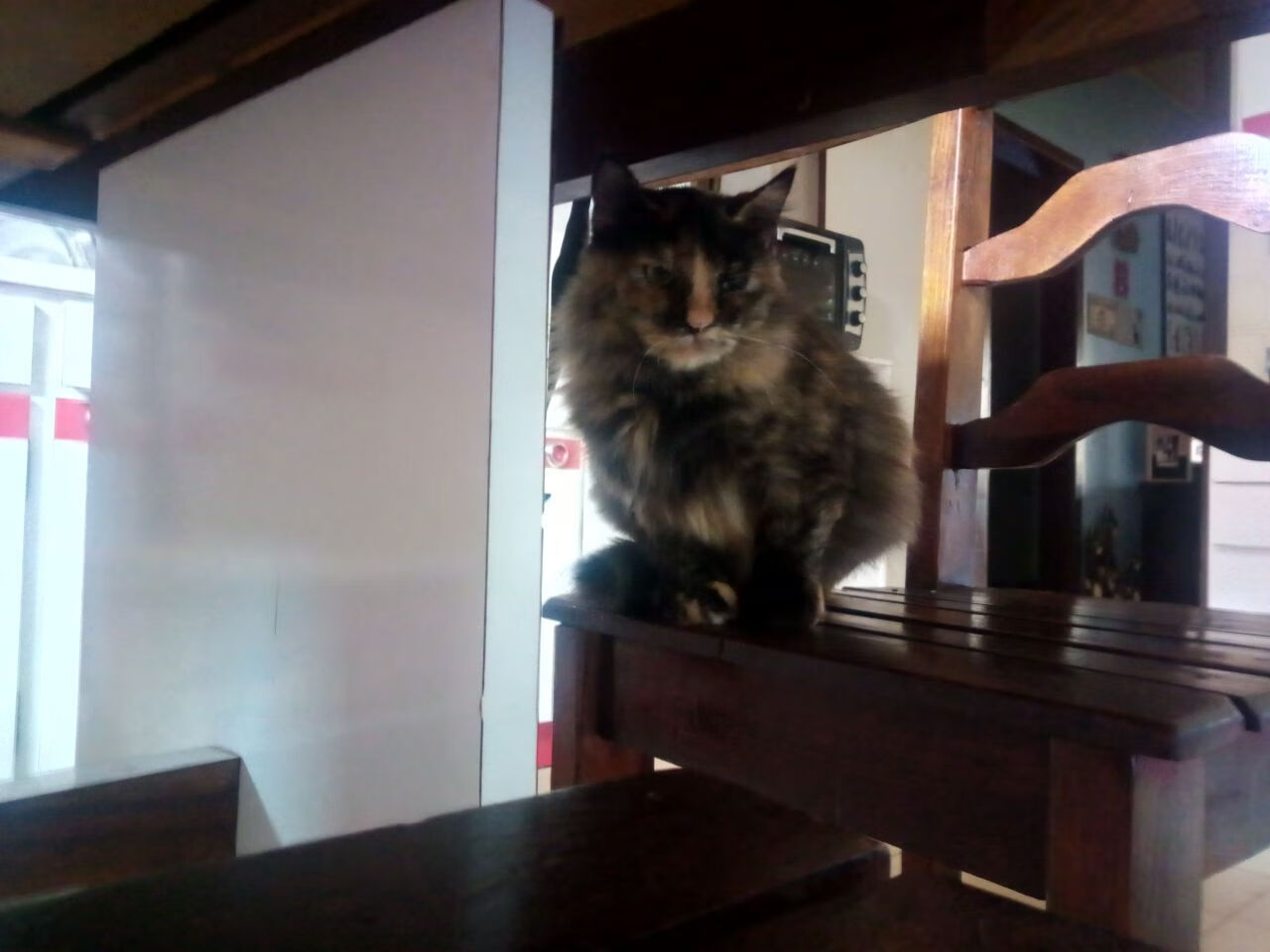 当团队战棋陷僵局，马克西用单点爆破撕开胜利裂口