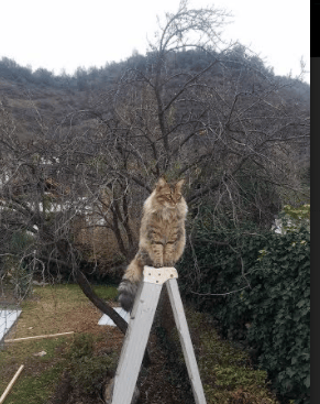 开云体育APP下载-亚洲之光与欧洲意志，三笘薰用实力证明自己，瑞士压哨击败厄瓜多尔