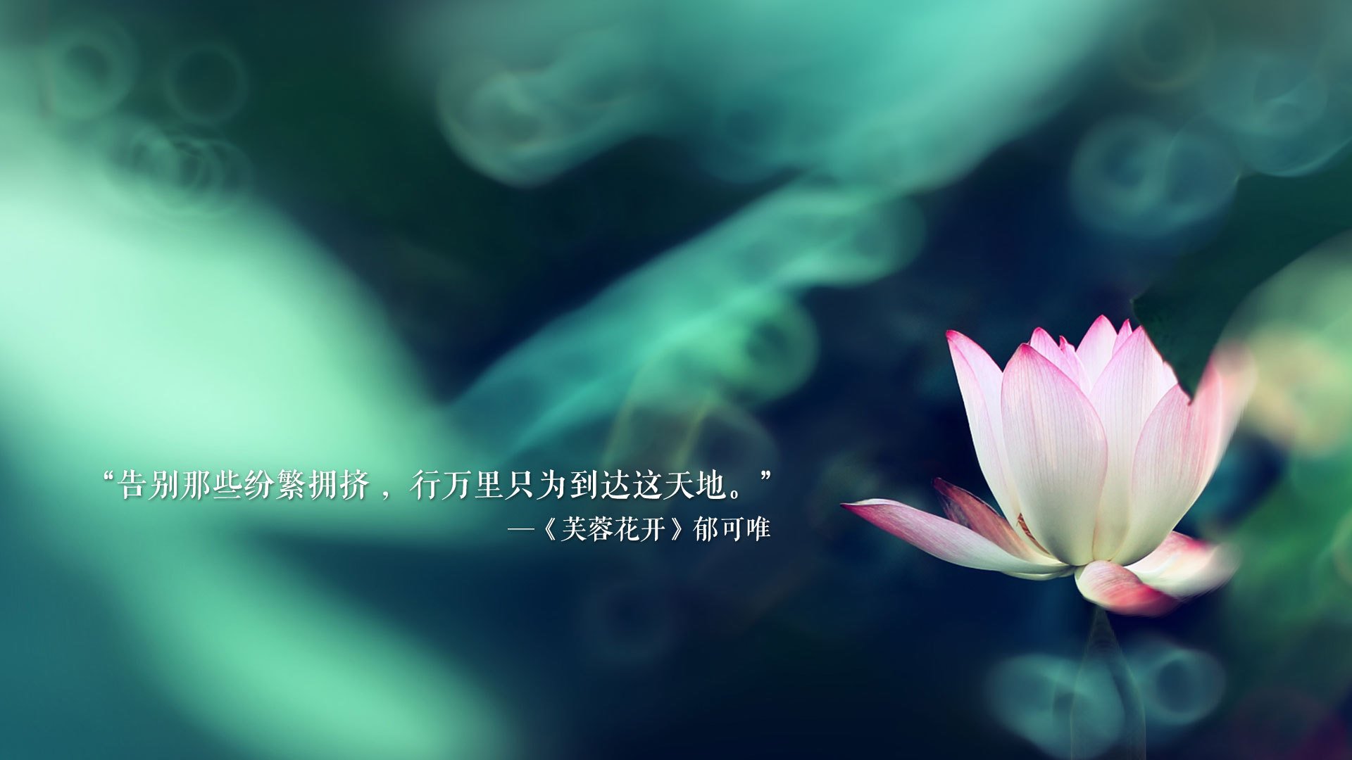开云体育平台APP-沙漠之狐的闪电战，突尼斯力克芬兰，莫德里奇演绎不老神话